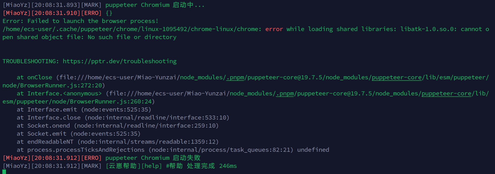 puppeteer Chromium failed to start